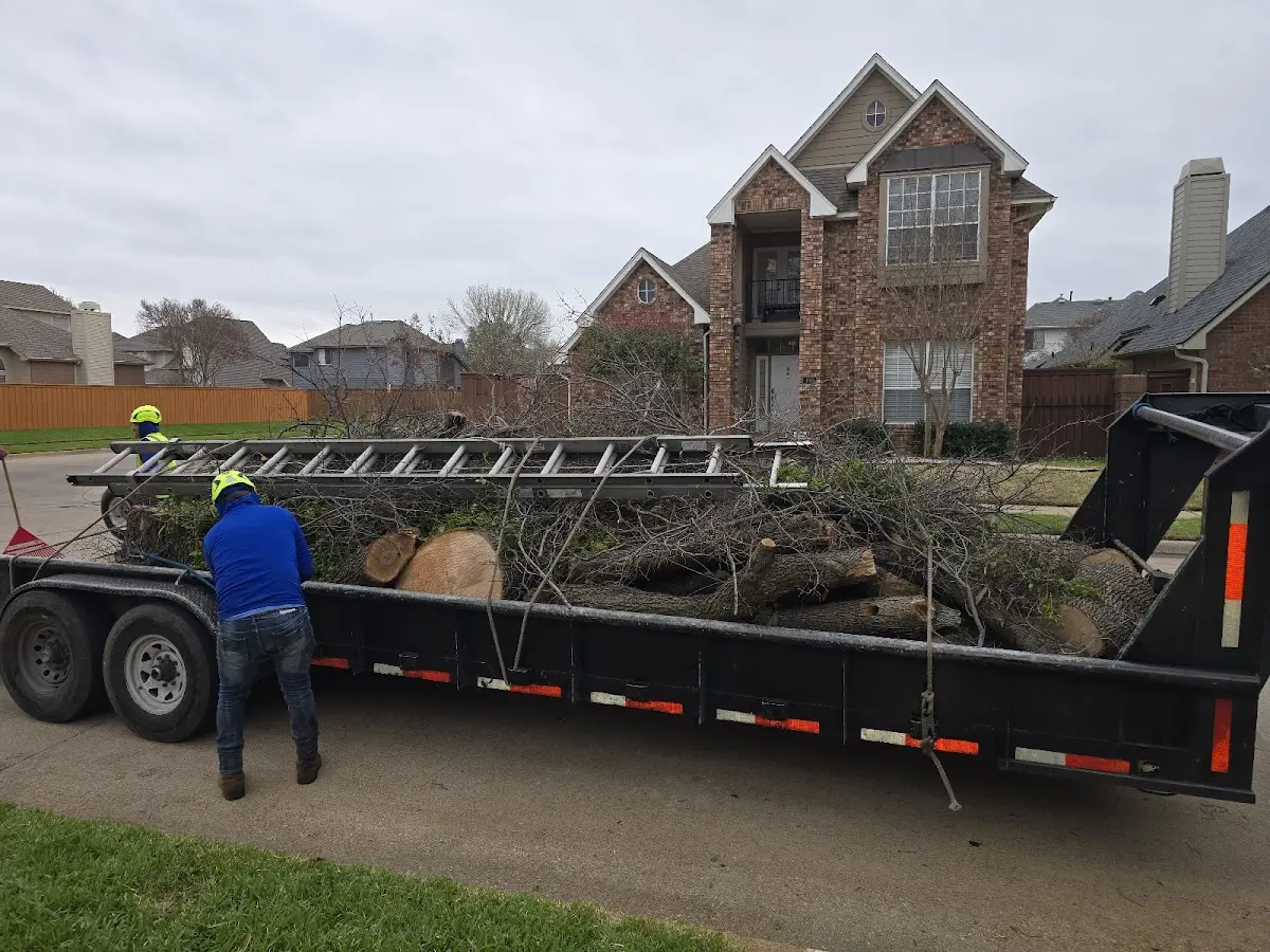 Expert Crown Reduction with proper safety equipment in Park Ridge